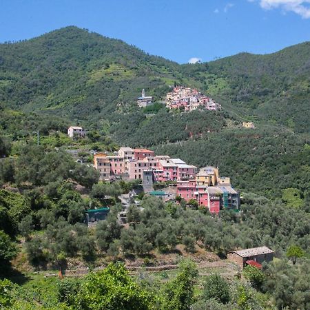 Le Case Della Lizza - Casa Rossa 莱万托 外观 照片